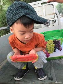 吃瓜娱乐照片图片